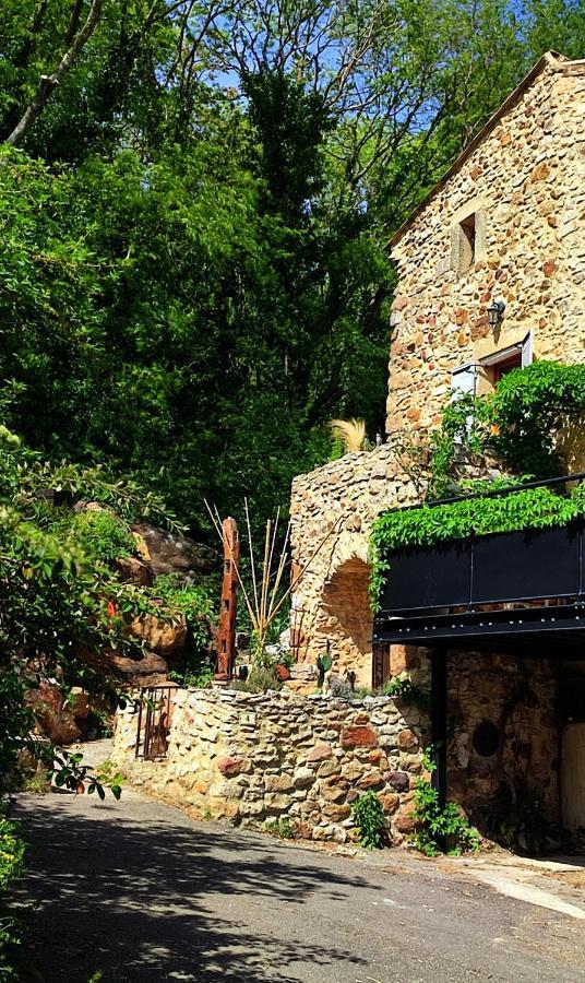 Un Pied Dans La Foret La Capelle-et-Masmolene Exterior foto